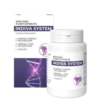 INDIVA SYSTEM